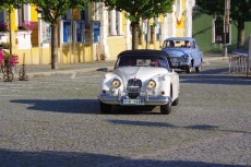 IMGP0977.jpg