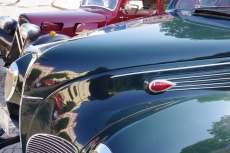 IMGP1030.jpg