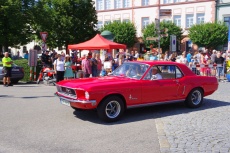 IMGP1126.jpg