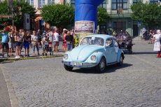 IMGP1133.jpg