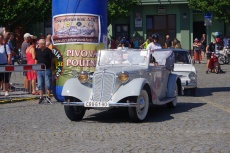 IMGP1137.jpg