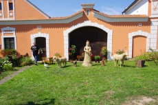 IMGP1180.jpg