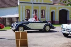 IMGP1186.jpg