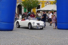 IMGP2602.jpg