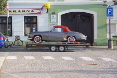 IMGP6994.jpg