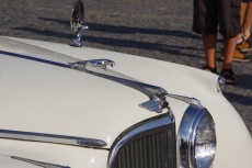 IMGP7073.jpg