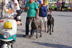 IMGP7079.jpg