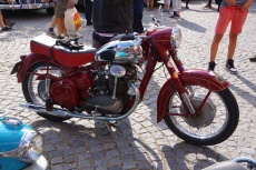 IMGP7095.jpg