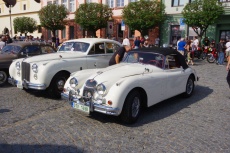 IMGP7097.jpg