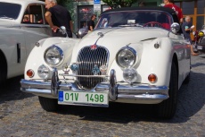 IMGP7098.jpg