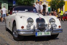 IMGP7100.jpg