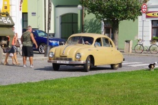 IMGP7104.jpg