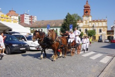 IMGP7114.jpg