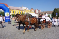 IMGP7115.jpg