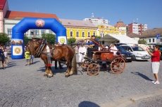 IMGP7117.jpg