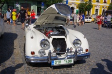 IMGP7125.jpg