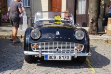 IMGP7135.jpg