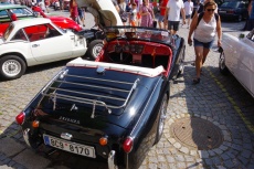 IMGP7137.jpg