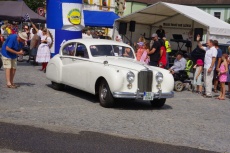 IMGP7173.jpg